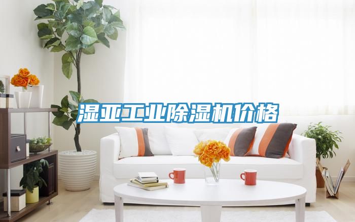 濕亞工業(yè)除濕機(jī)價(jià)格