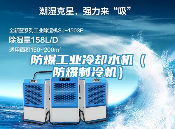 防爆工業(yè)冷卻水機（防爆制冷機）