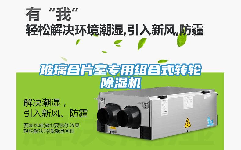 玻璃合片室專用組合式轉(zhuǎn)輪除濕機(jī)