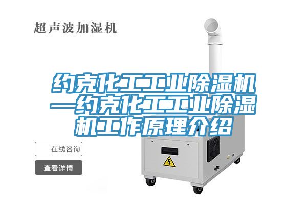 約克化工工業(yè)除濕機(jī)—約克化工工業(yè)除濕機(jī)工作原理介紹
