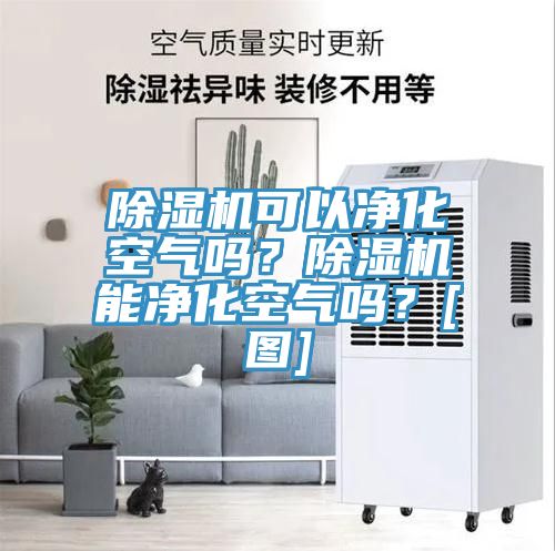 除濕機(jī)可以凈化空氣嗎？除濕機(jī)能凈化空氣嗎？[圖]