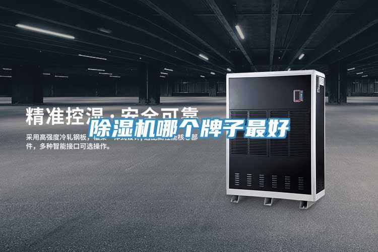 除濕機(jī)哪個牌子最好