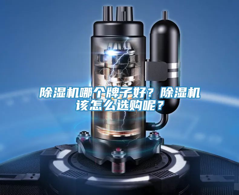 除濕機(jī)哪個(gè)牌子好？除濕機(jī)該怎么選購(gòu)呢？