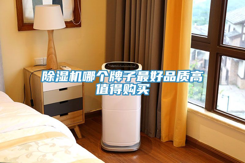 除濕機哪個牌子最好品質(zhì)高值得購買