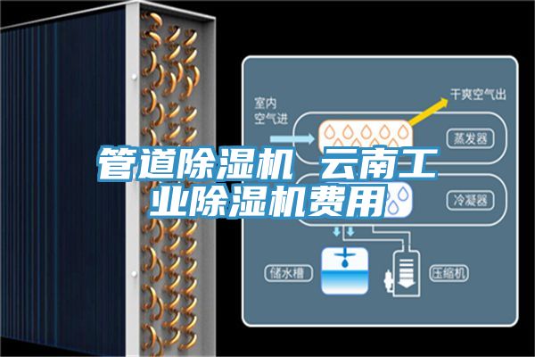管道除濕機(jī) 云南工業(yè)除濕機(jī)費用