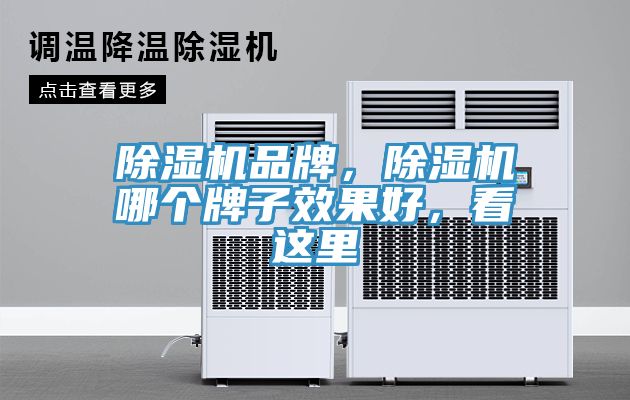 除濕機(jī)品牌，除濕機(jī)哪個牌子效果好，看這里