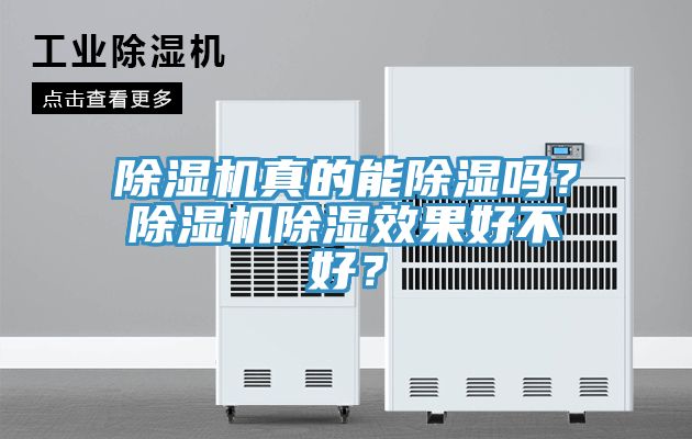 除濕機真的能除濕嗎？除濕機除濕效果好不好？