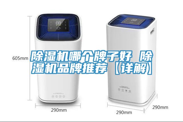 除濕機(jī)哪個牌子好 除濕機(jī)品牌推薦【詳解】
