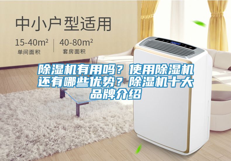 除濕機(jī)有用嗎？使用除濕機(jī)還有哪些優(yōu)勢？除濕機(jī)十大品牌介紹