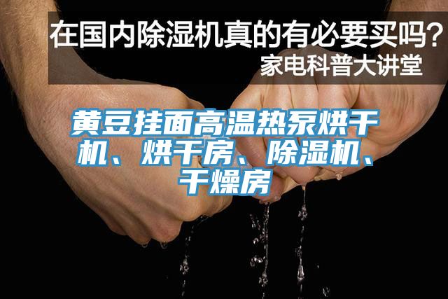 黃豆掛面高溫?zé)岜煤娓蓹C(jī)、烘干房、除濕機(jī)、干燥房