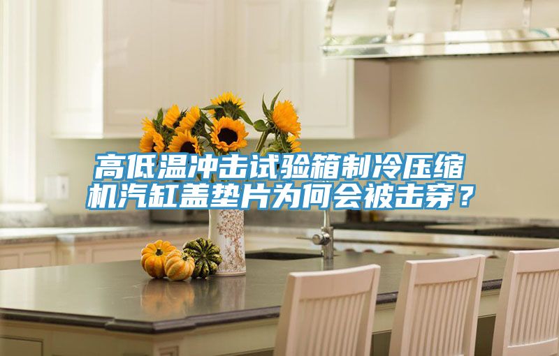 高低溫沖擊試驗(yàn)箱制冷壓縮機(jī)汽缸蓋墊片為何會(huì)被擊穿？