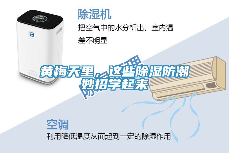 黃梅天里，這些除濕防潮妙招學(xué)起來