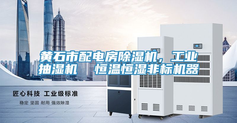 黃石市配電房除濕機(jī)，工業(yè)抽濕機(jī)  恒溫恒濕非標(biāo)機(jī)器