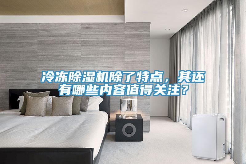 冷凍除濕機除了特點，其還有哪些內(nèi)容值得關(guān)注？