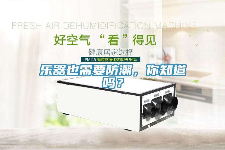 樂器也需要防潮，你知道嗎？