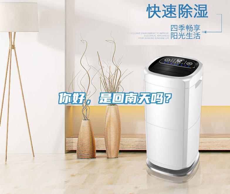 你好，是回南天嗎？